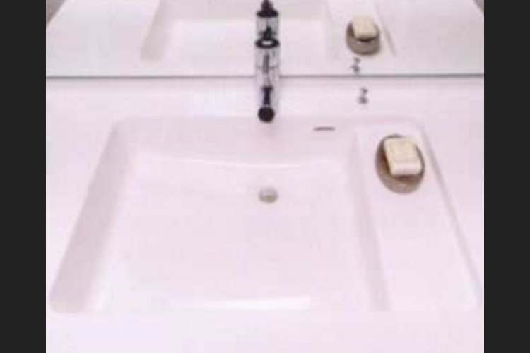 ソライエシティ ザ・パーク ザ・ガーデンの洗面ボウル