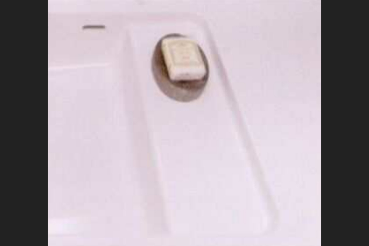 ソライエシティ ザ・パーク ザ・ガーデンのステップつき一体型ボウル