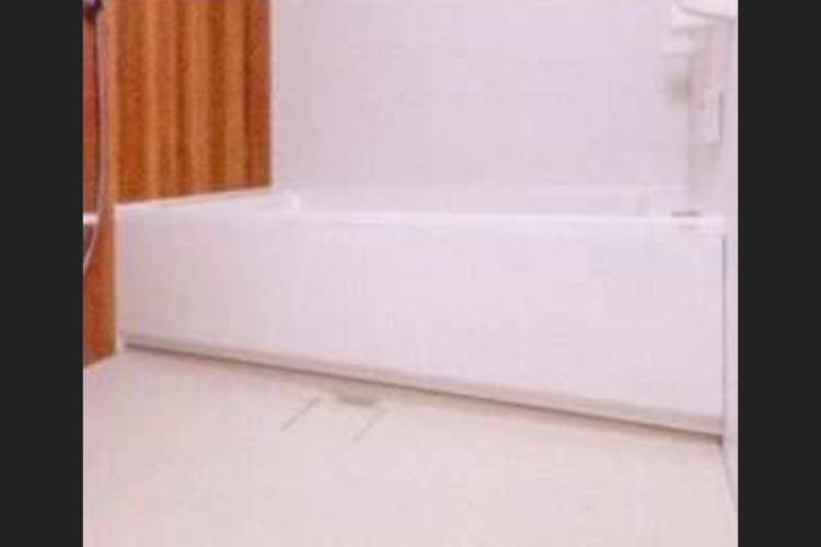 ソライエシティ ザ・パーク ザ・ガーデンの大型ユニットバス