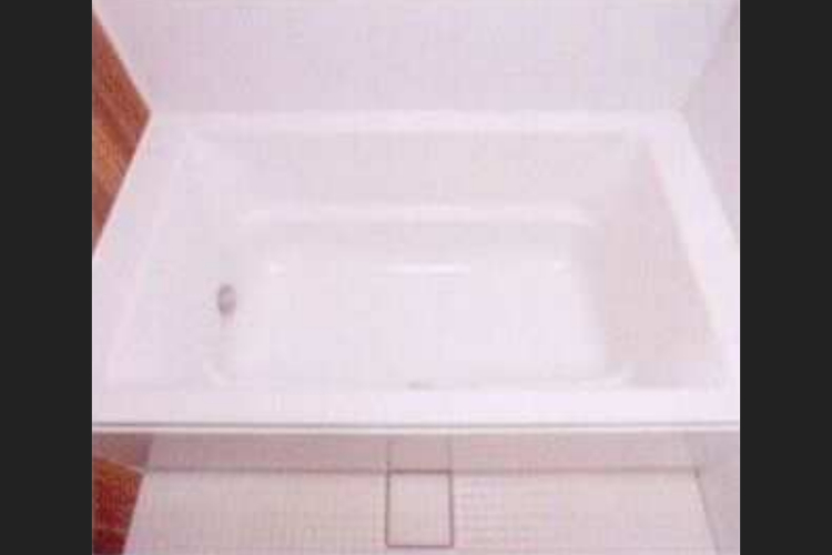 ソライエシティ ザ・パーク ザ・ガーデンのストレートライン浴槽