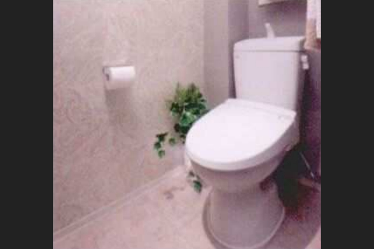 ソライエシティ ザ・パーク ザ・ガーデンの節水型ロータンクトイレ