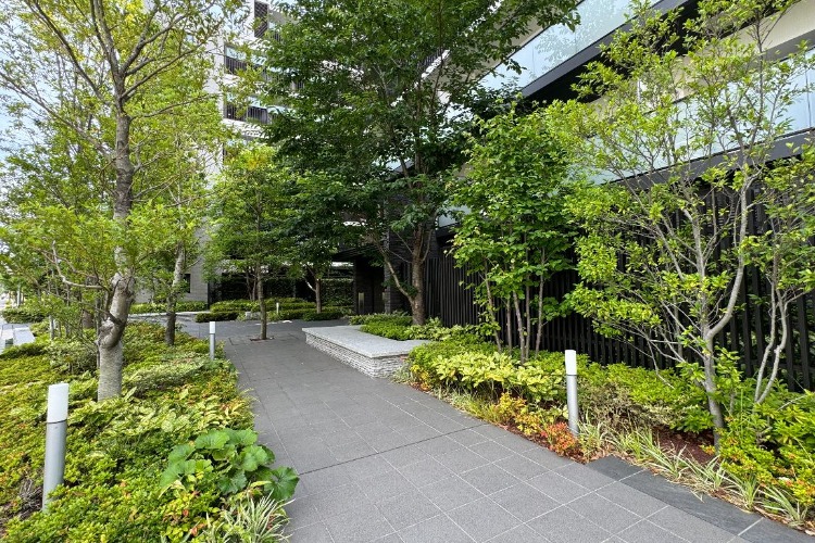 ソライエシティ ザ・パーク ザ・ガーデンのエントランスホール・アプローチ